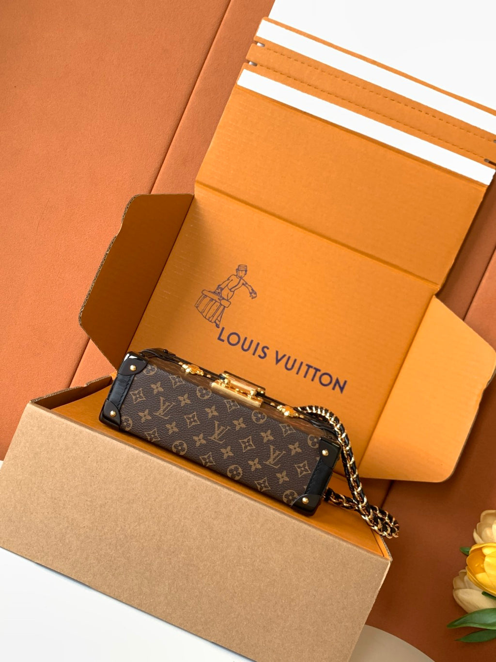 PETITE MALLE Women's Brown Letter Print Removable Adjustable Simple Magnetic Clasp Canvas and Leather Trim Box Bag Handbag Shoulder Bags #77526