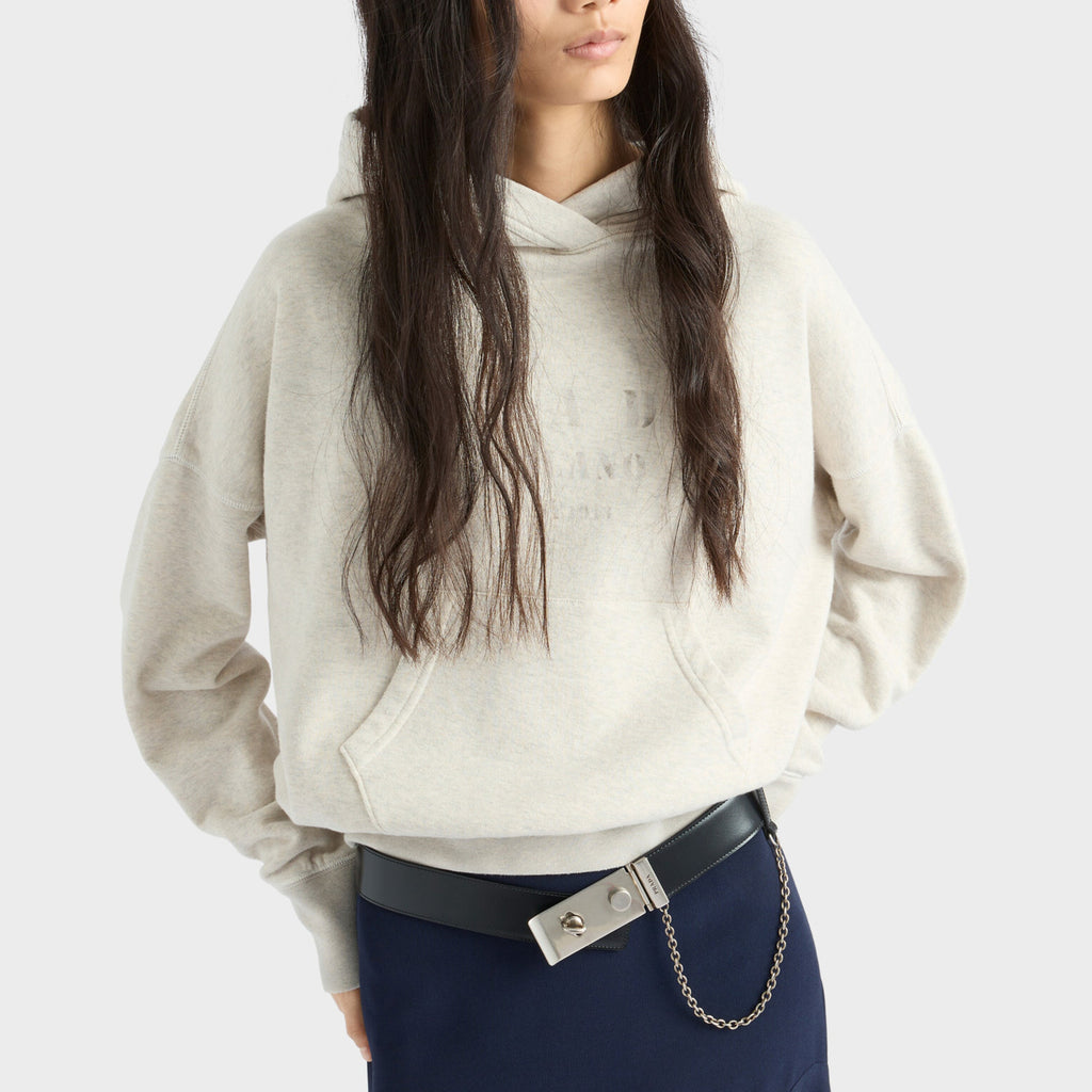 Women's Solid Color Spring/Autumn Classic Casual Printed Letter Logo Cotton Fleece Long Sleeve Hoodie Sweatshirt #78154