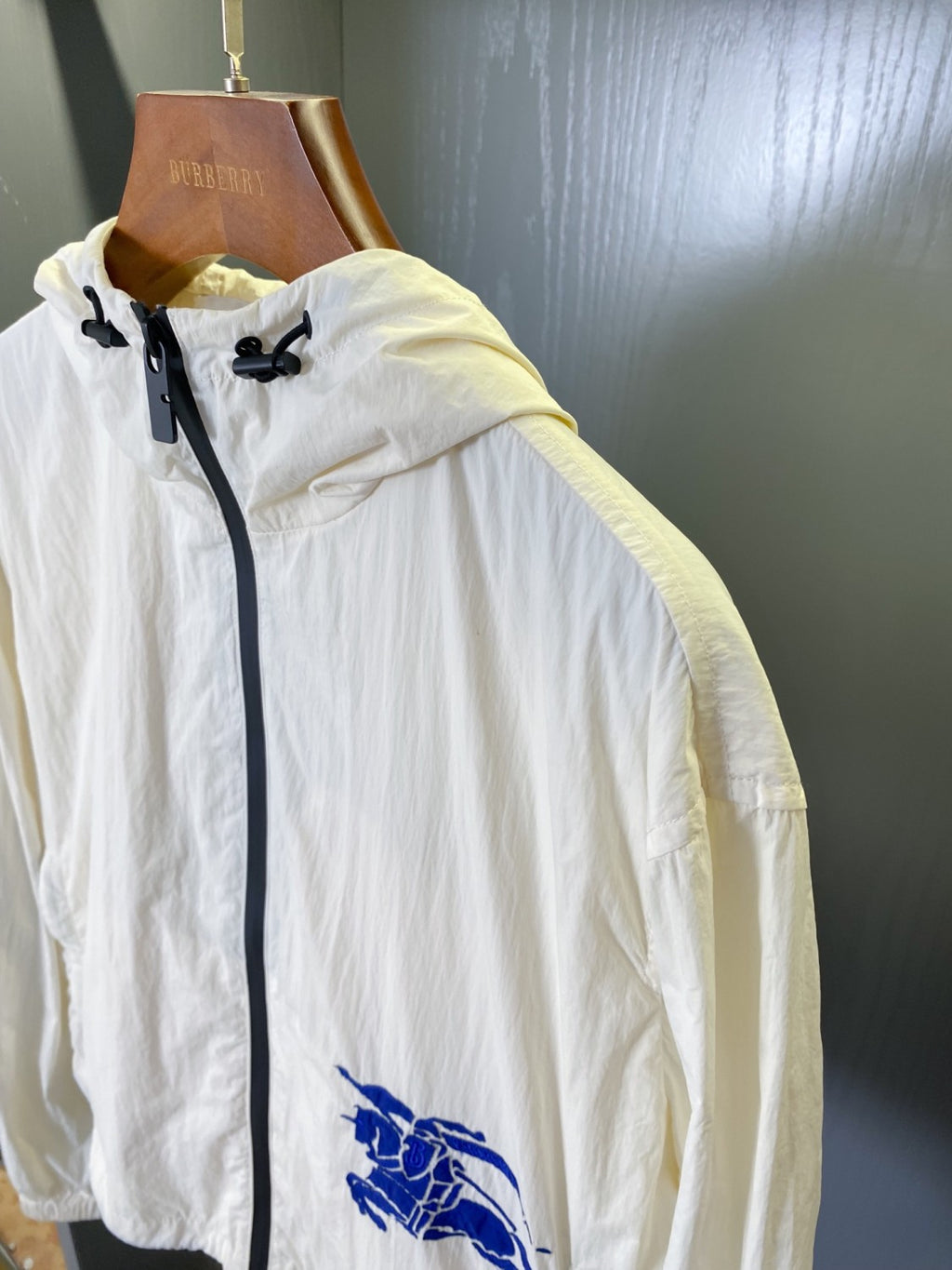 Women's Spring and Autumn Solid Color Logo Printed Hooded Zipper Long Sleeve Jacket #72151