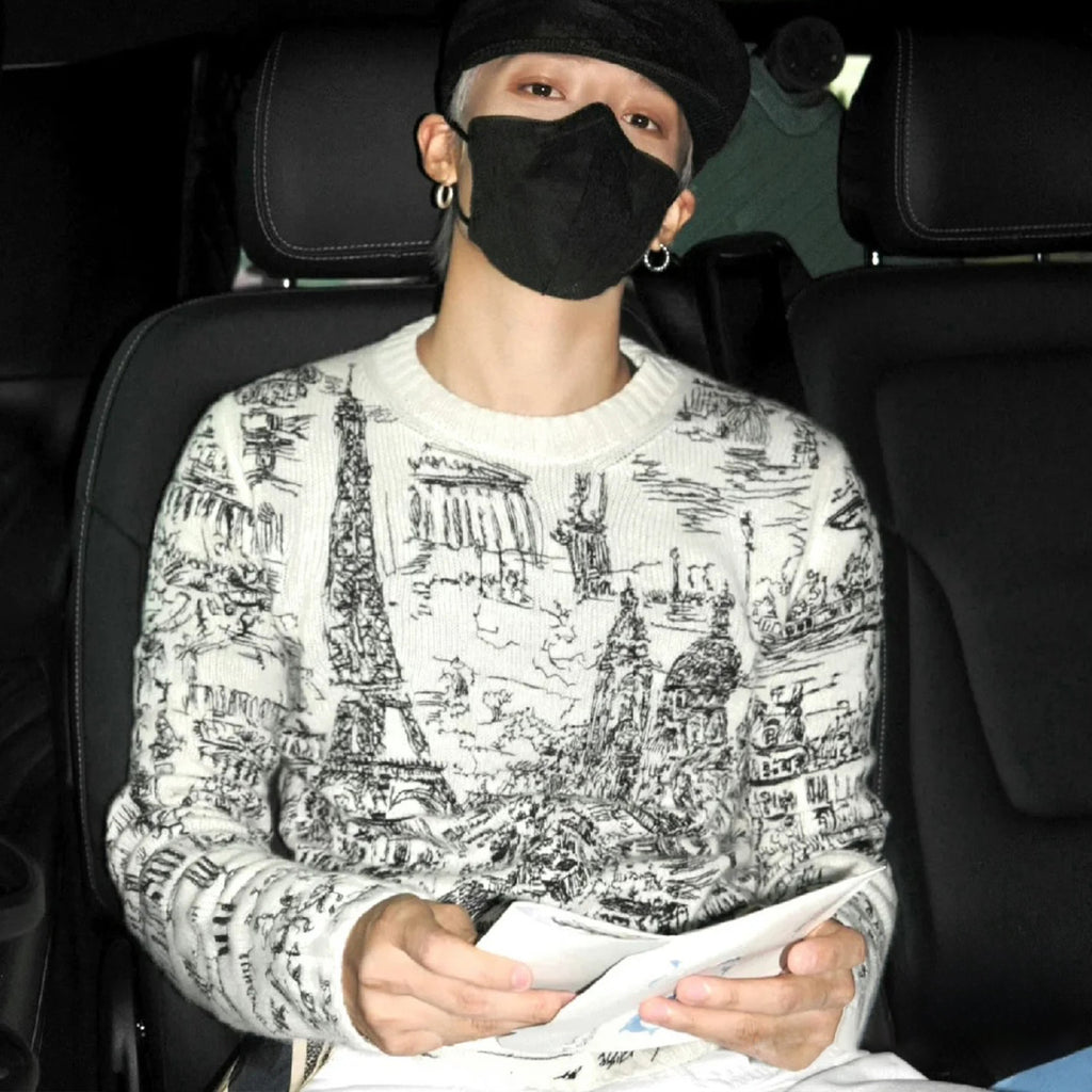 Women's Spring And Autumn Paris Lines Hand-painted Style Embroidered Wool Knit Crew Neck Sweater Ngvp #8733