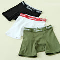 Men's And Women's All-season Logo High-waisted Briefs Fashion Trend Fit Underpants Three Pairs #71314