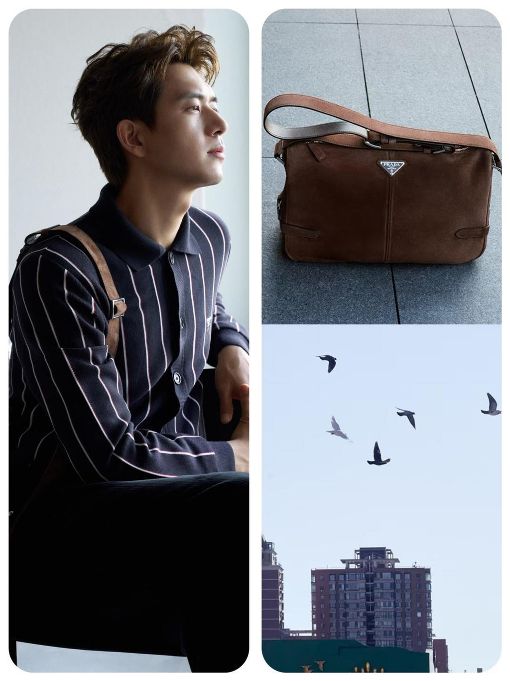 men's Fall/winter 2025 Striped Embroidered Long-sleeve Sweater Single-button Fashion Loose-fit Cardigan #81938A